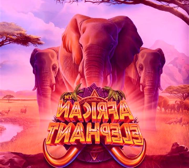 African Elephant online slot