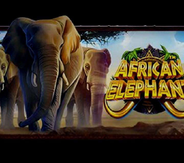 African Elephant slot game