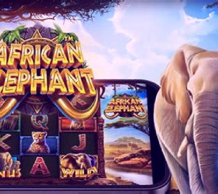 African Elephant slot