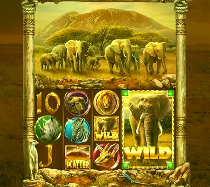 African King Hold n Link slot game