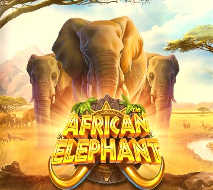 African King Hold n Link slot