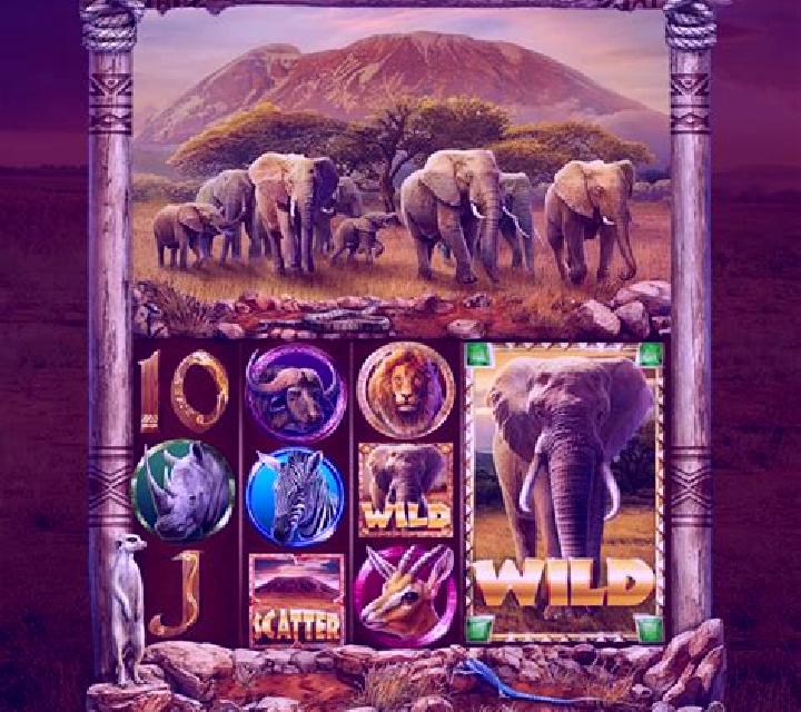 African King online slot