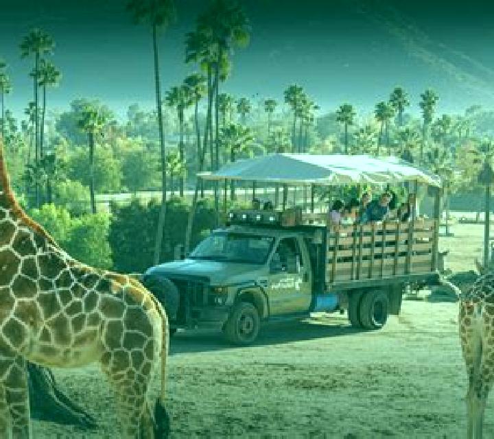 African Safari (X Card) online slot