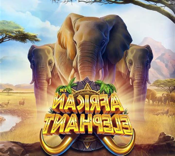 African Safari (X Card) slot machine