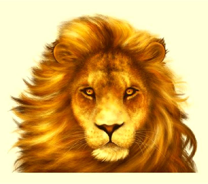 African Simba online slot