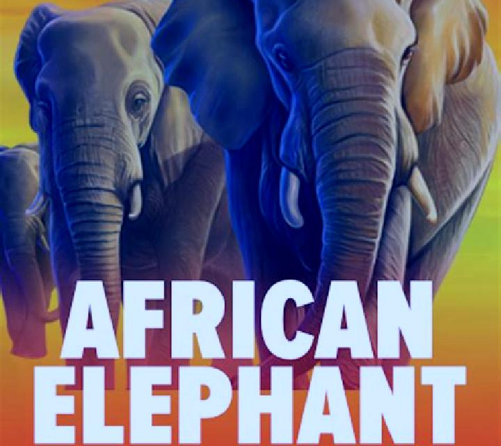 African Sunset 2 online slot