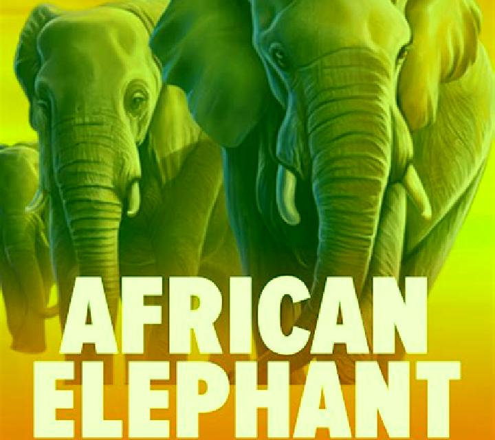African Sunset 2 slot