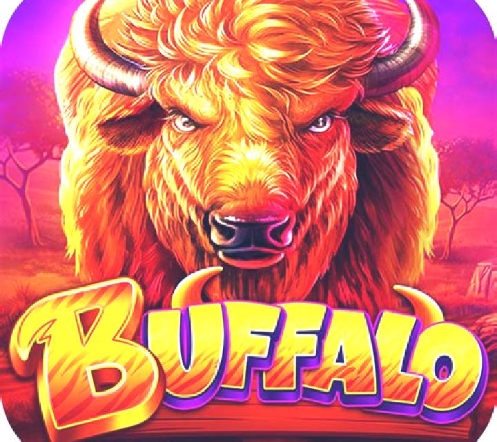 African Wild (Playreels) slot machine