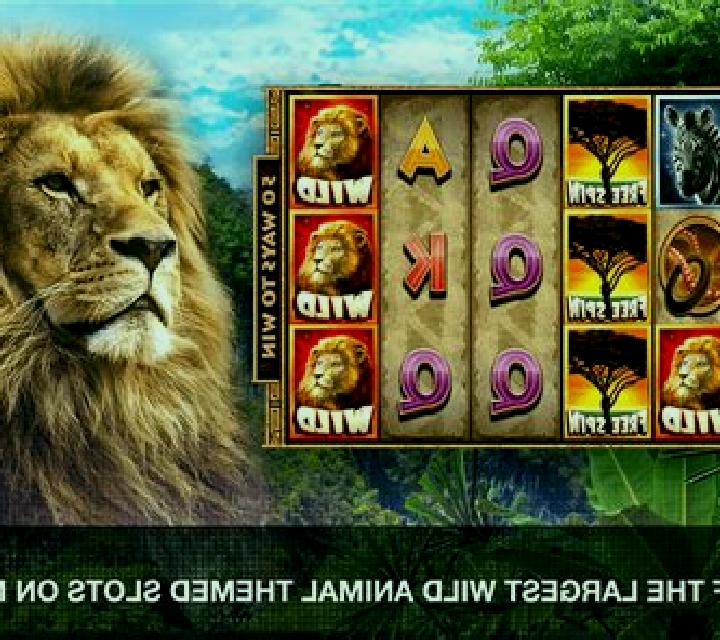 African Wildlife slot machine