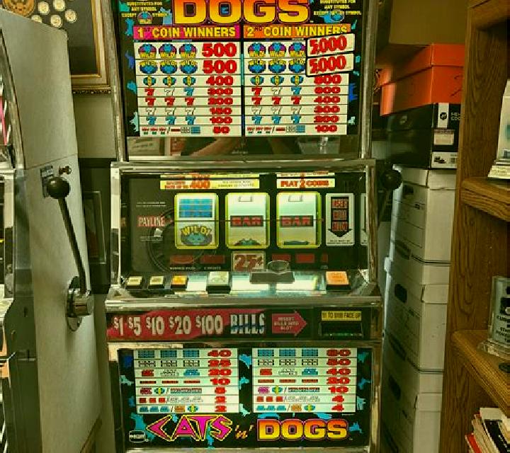 Age of the Dogs slot machine