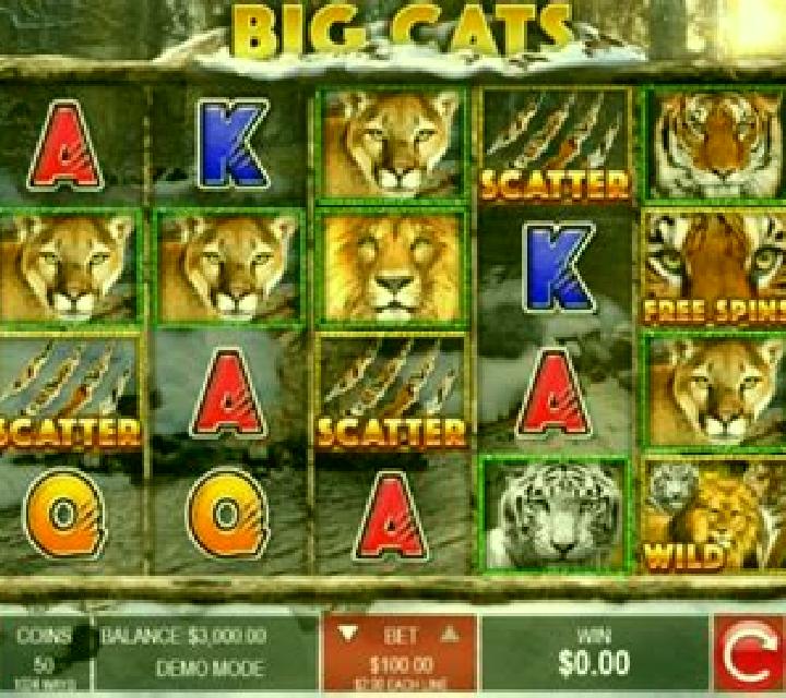 All Ways Cats online slot