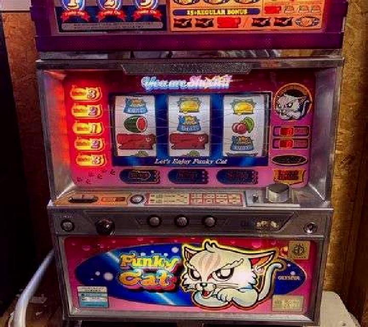 Alley the Cat slot machine