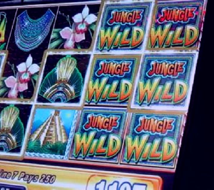 Aloha Wild slot machine