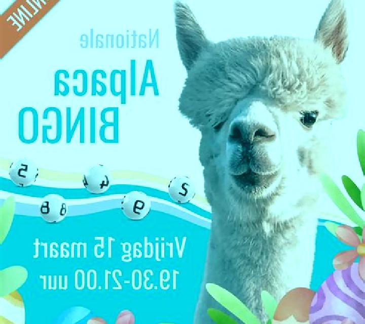Alpaca Bingo online slot