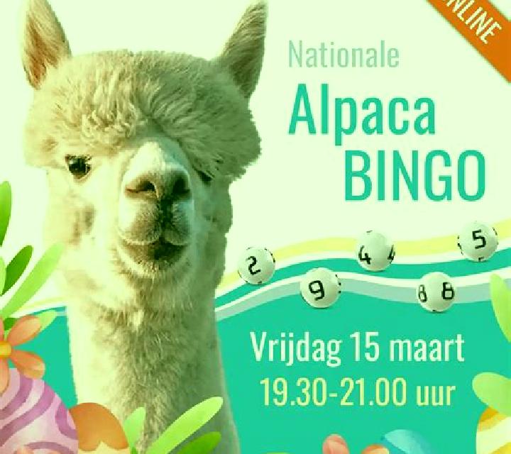 Alpaca Bingo slot game