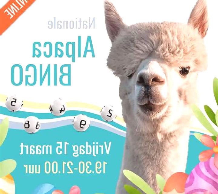 Alpaca Bingo slot