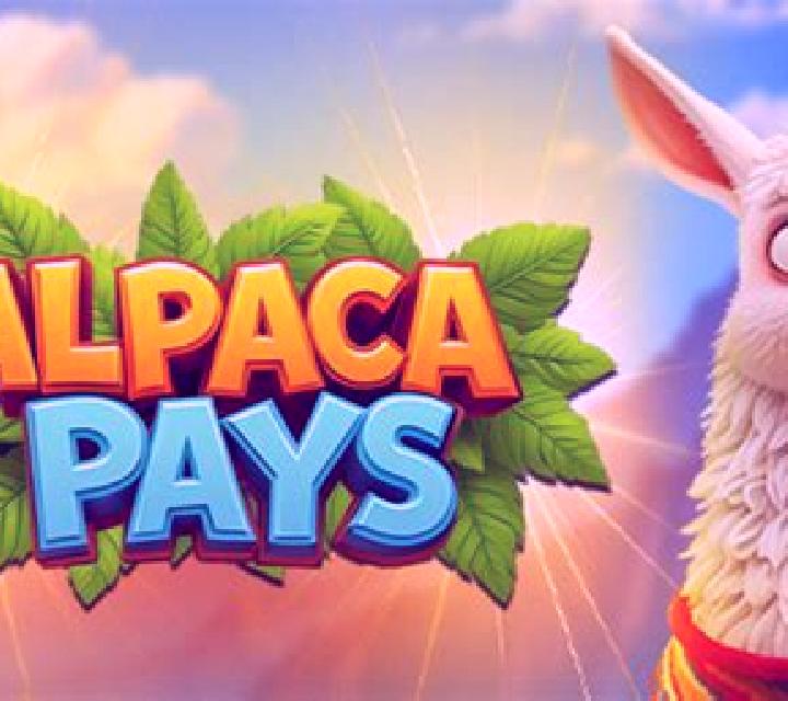 Alpaca Pays online slot