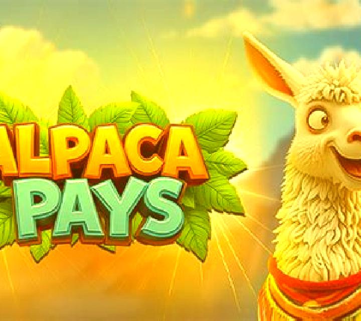 Alpaca Pays slot game