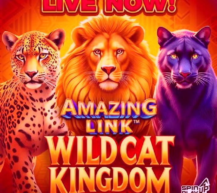 Amazing Link WildCat Kingdom slot game
