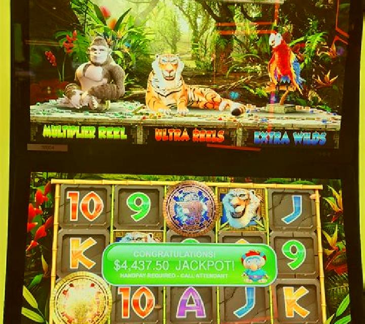 Amazon Adventure slot machine