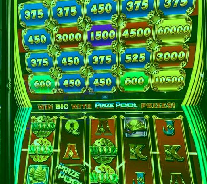 Amazon Fierce online slot