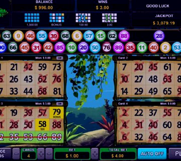 Amazonia Bingo slot