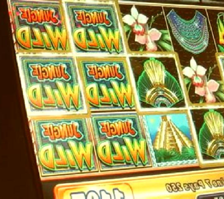 American Wild slot machine