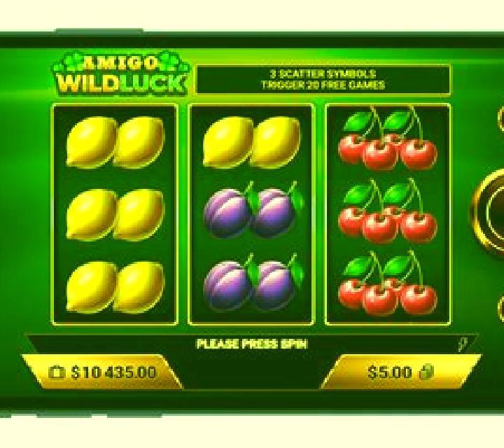 Amigo Fruits 5 slot machine