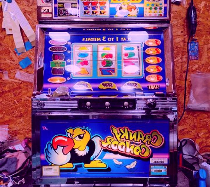 Andean Condor slot machine