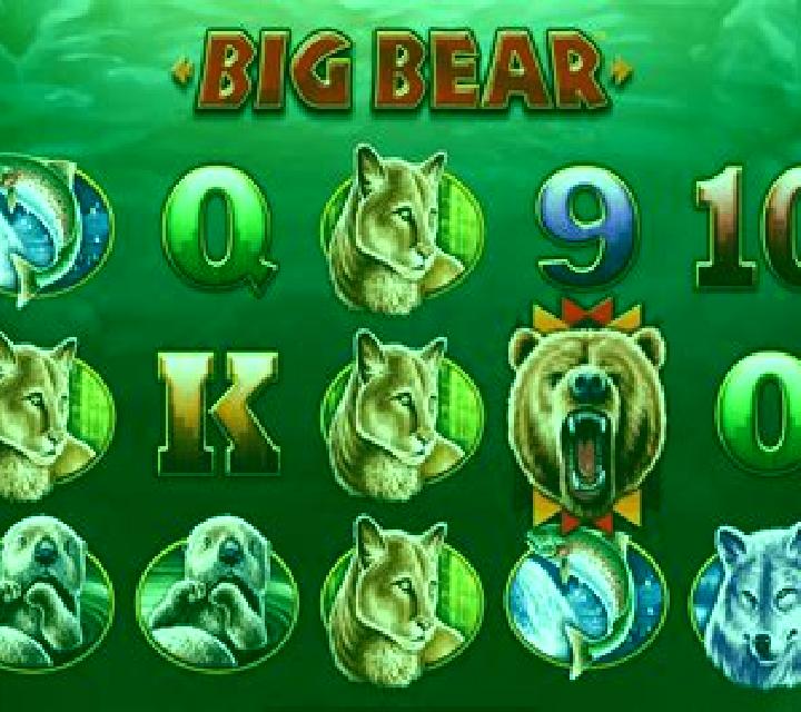 Angry Bear slot game