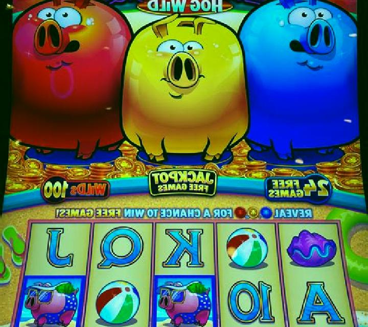 Angry Piggies slot machine