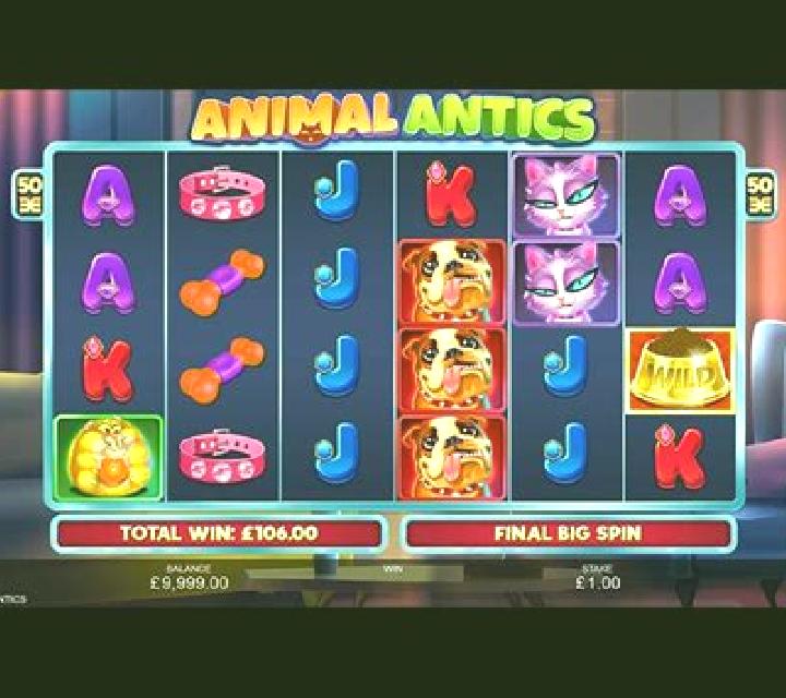 Animal Antics online slot