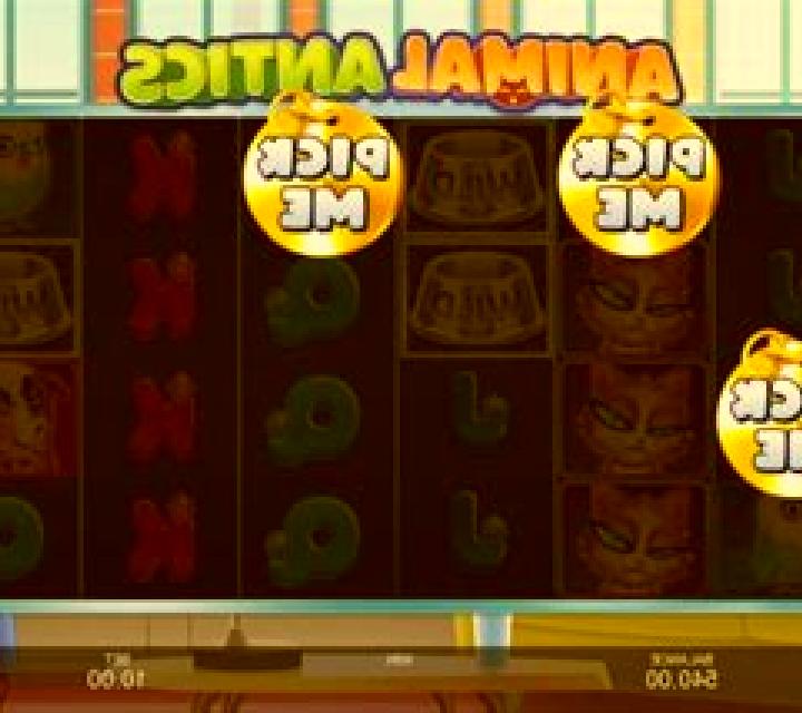 Animal Antics slot game