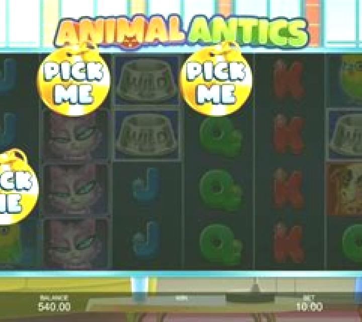Animal Antics slot