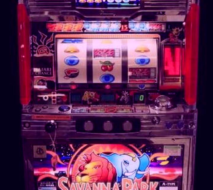 Animal Fun Park slot machine