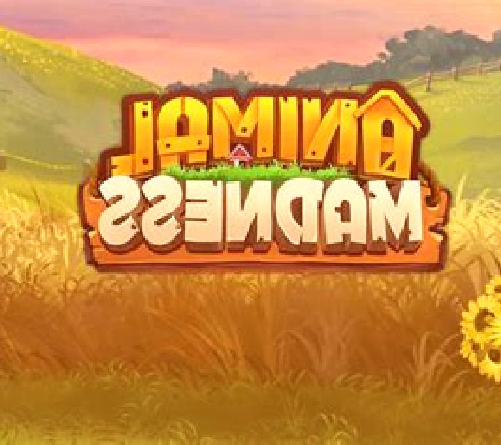 Animal Madness slot game