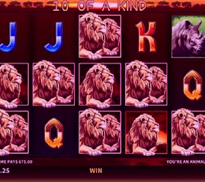 Animals of Africa slot