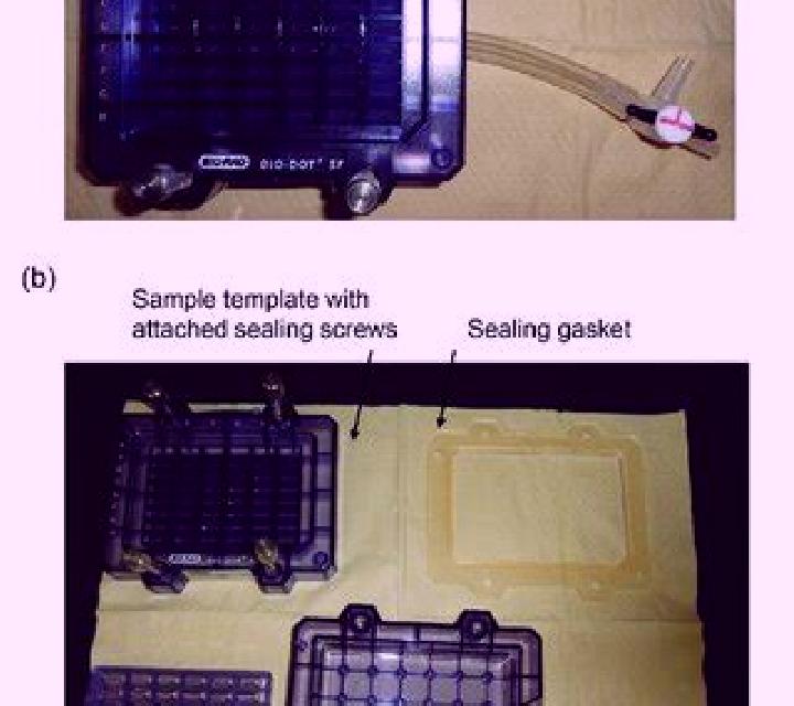 Apparatus slot