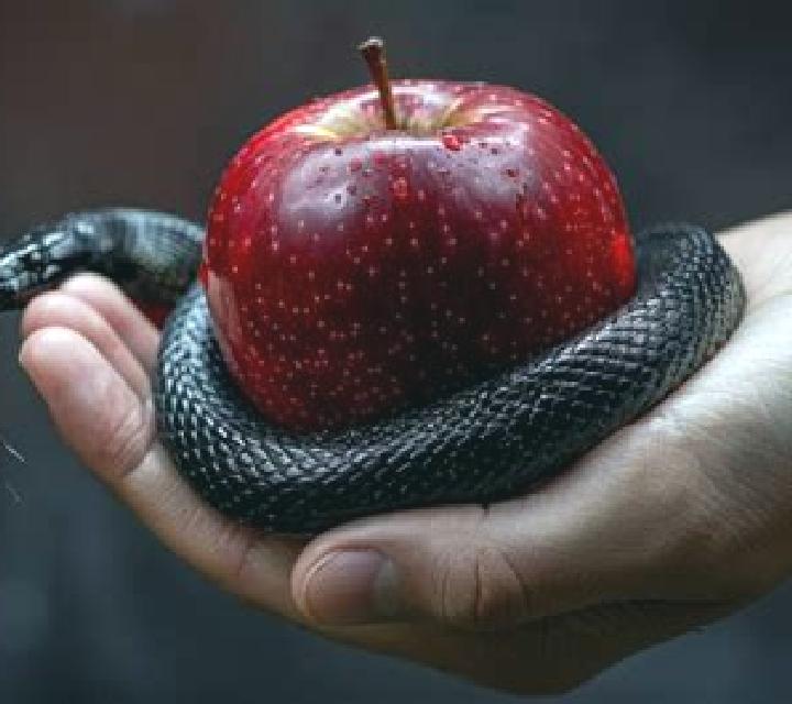 Apple Temptation online slot