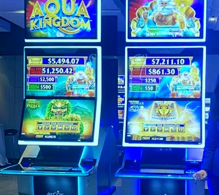 Aqua Dominion slot machine