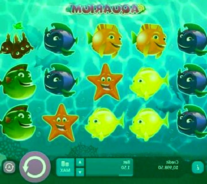 Aquarium slot
