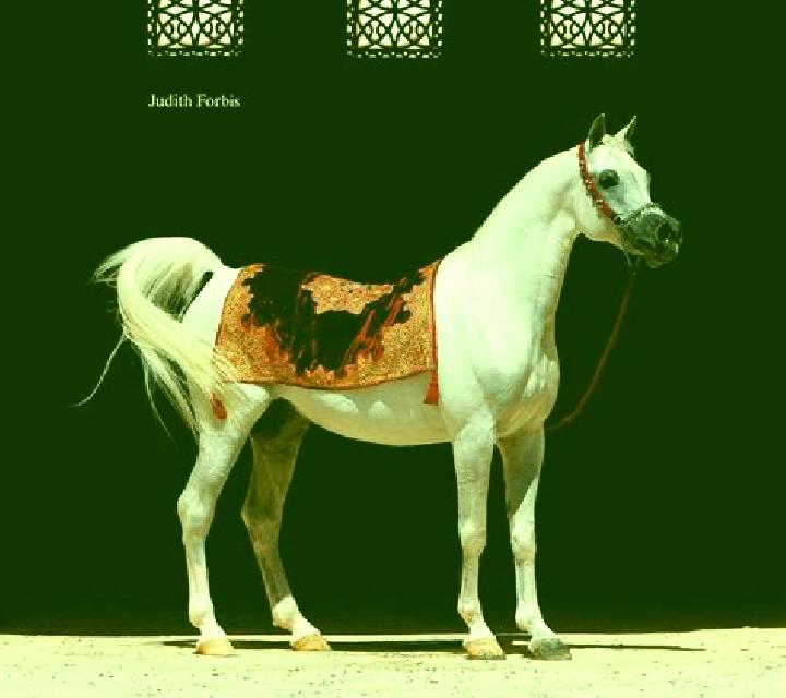 Arabian Legacy online slot