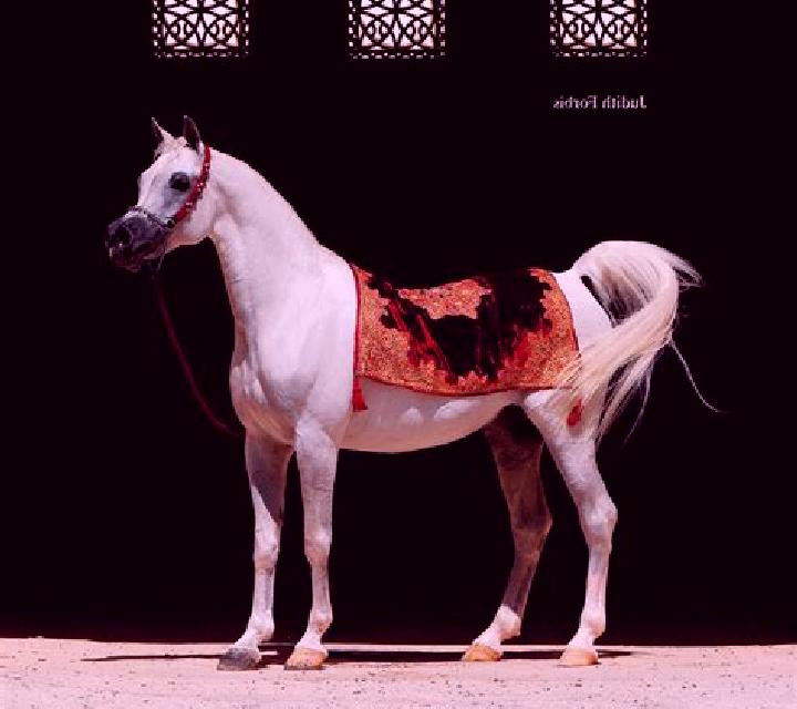 Arabian Legacy slot machine
