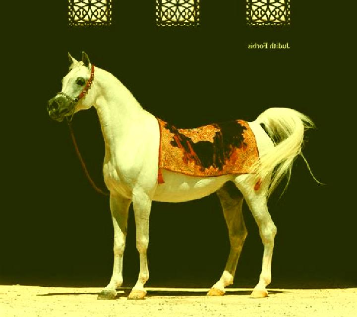 Arabian Legacy slot