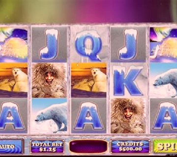 Arctic Bear slot