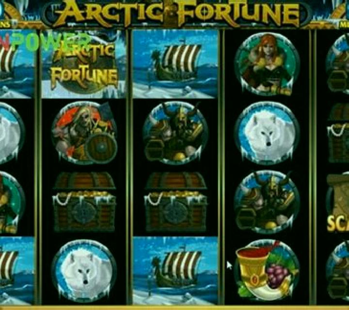 Arctic Fortune slot