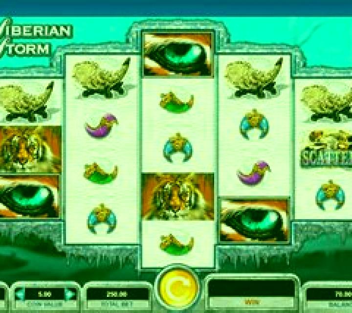 Arctic Storm slot machine