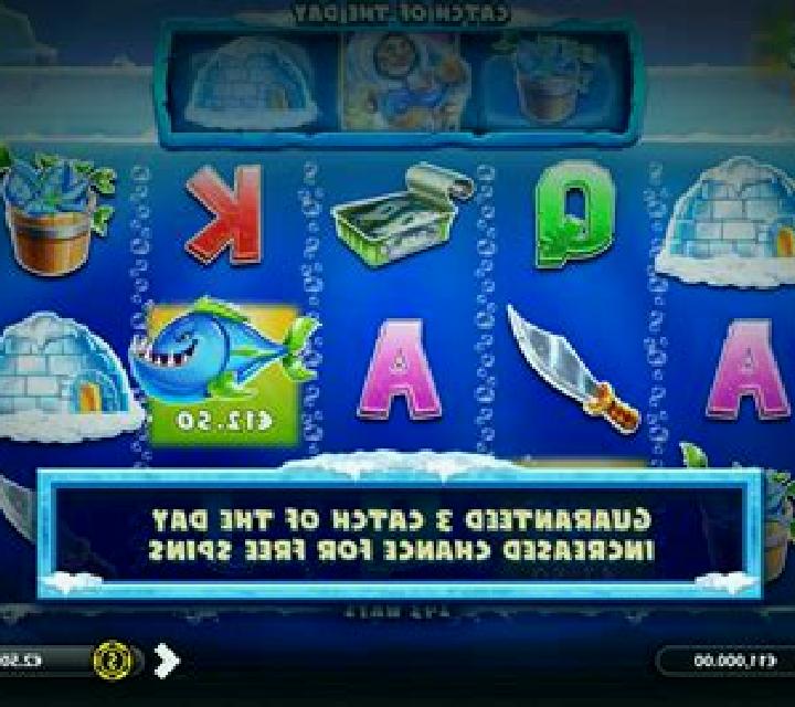 Arctic Wild slot game
