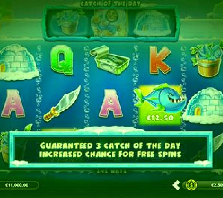 Arctic Wild slot