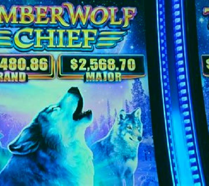 Arctic Wolf Triple Riches slot machine